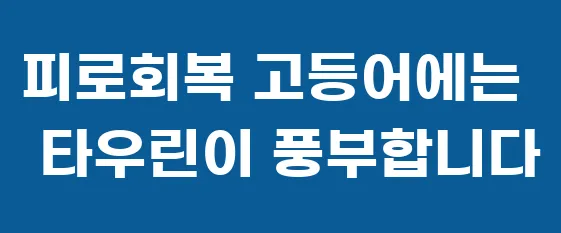 피로회복 고등어에는 타우린이 풍부합니다