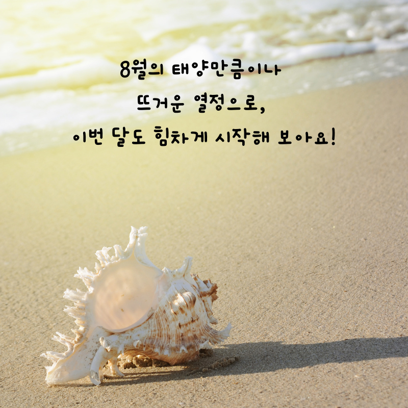 8월 인사말 카톡 문자 메세지 안부 이미지 모음집