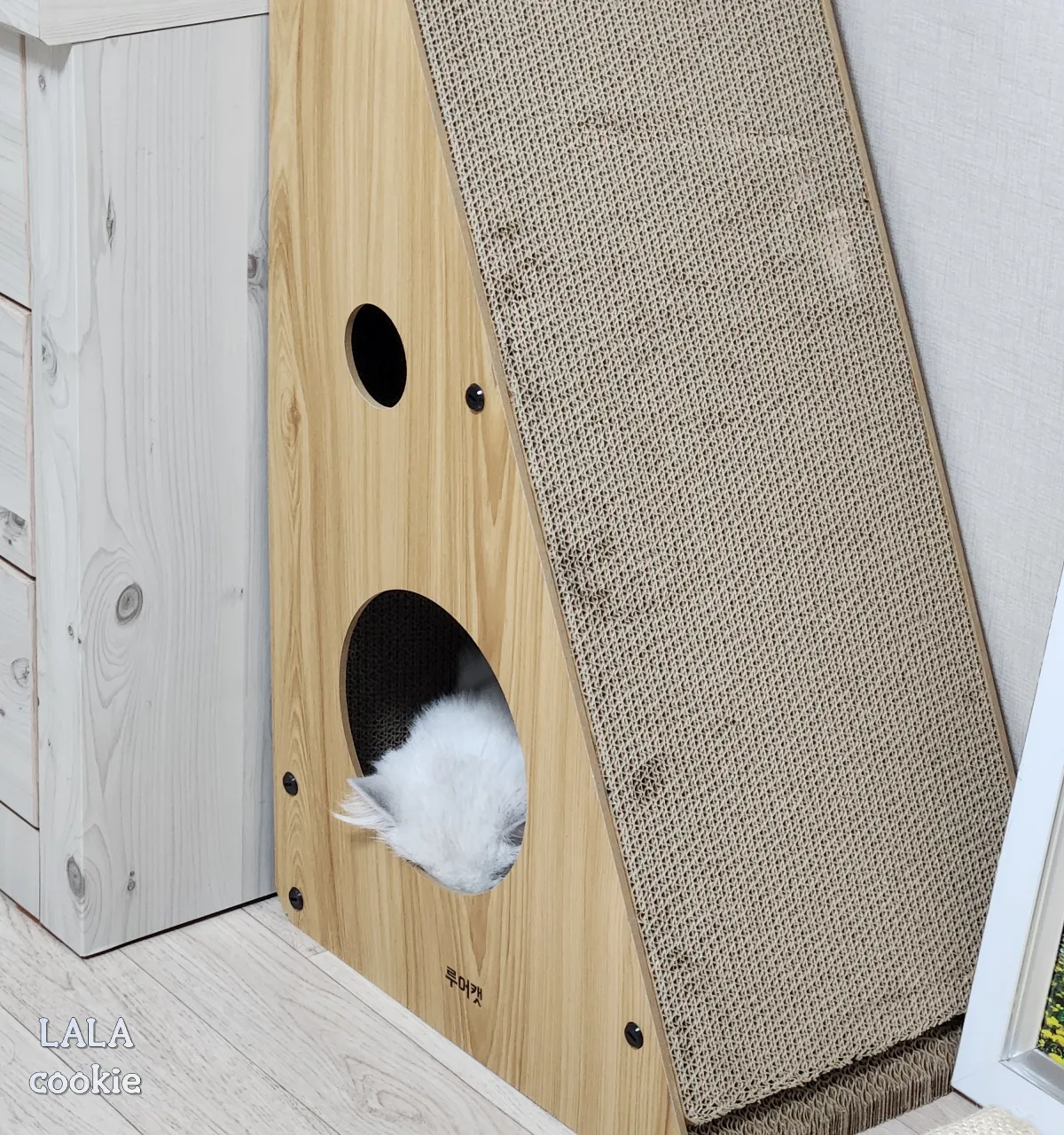 고양이-숨숨집-스크래처형-자는-고양이