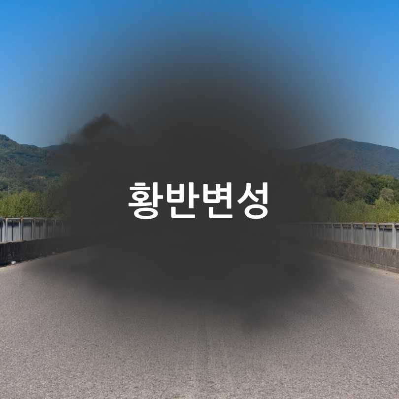 노안영양제