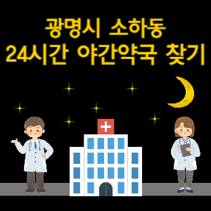 광명시 소하동 24시간 야간 심야 당번약국 찾기