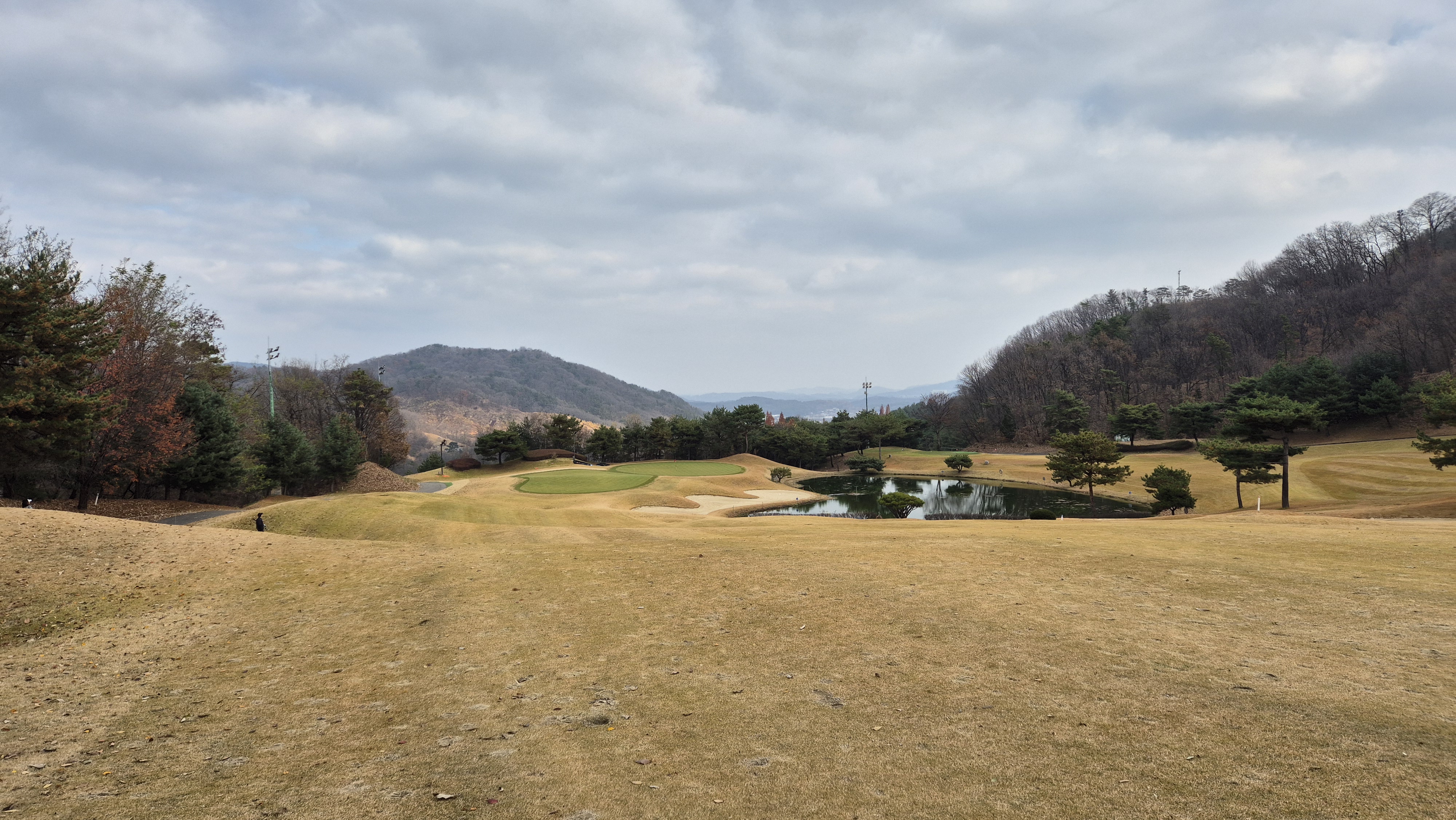 올데이 떼제베cc 누리코스 사진 및 공략 정보