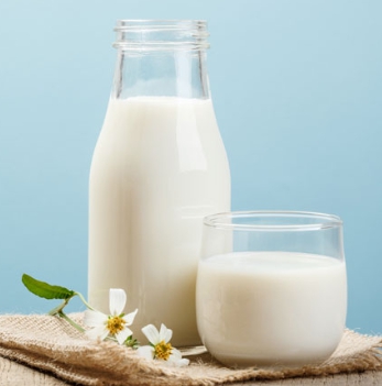 한국의 떡 종류 백설기