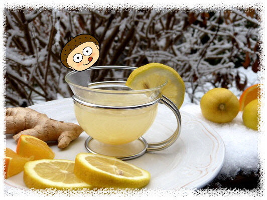 신장에 좋은 과일 레몬