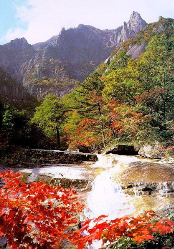 강원도 2025 단풍 산행 추천 코스 ❘ 설악산&middot;오대산&middot;치악산 절정 시기 안내