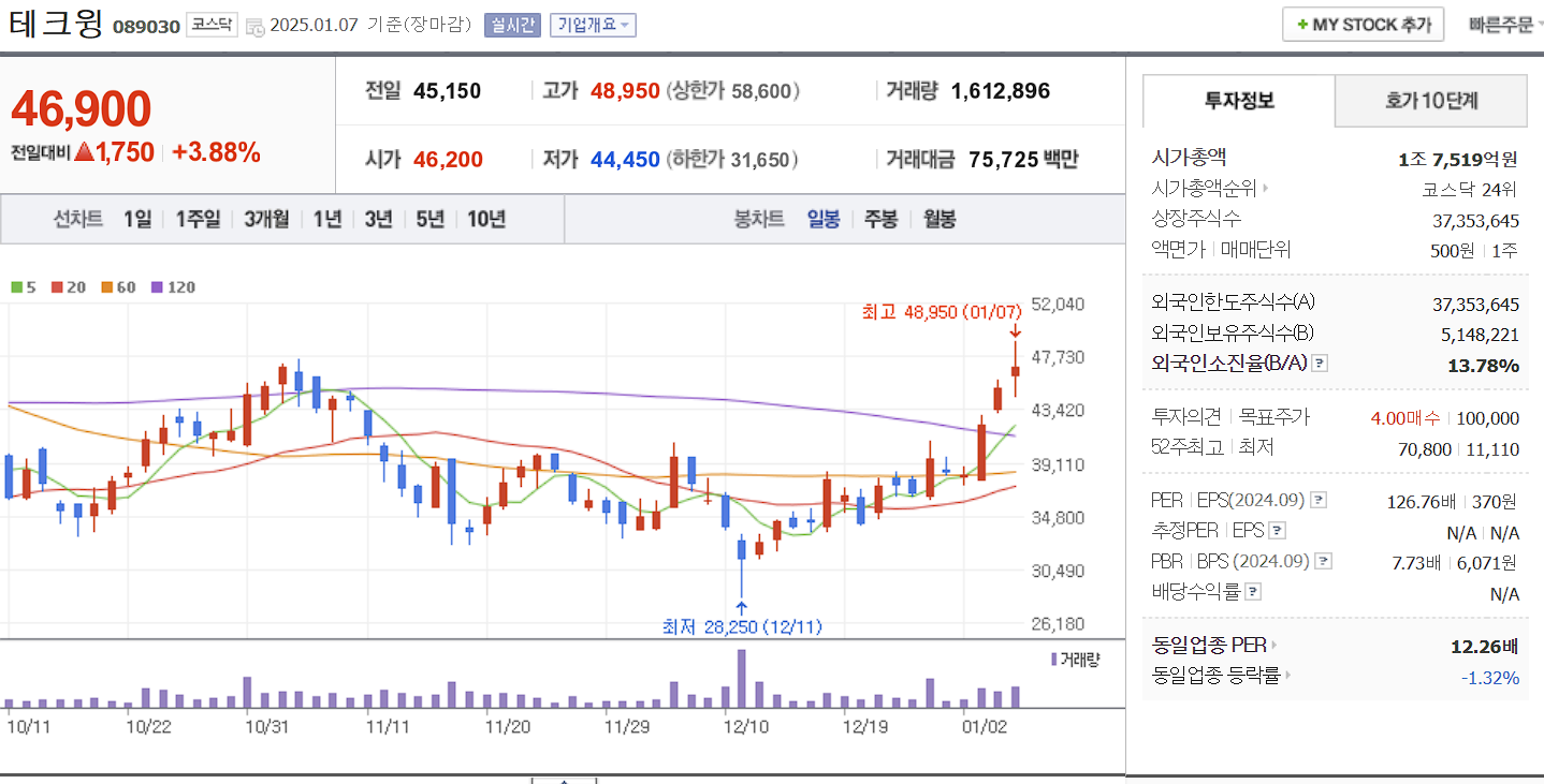 반도체 장비 관련주 대장주 테크윙 일봉 차트