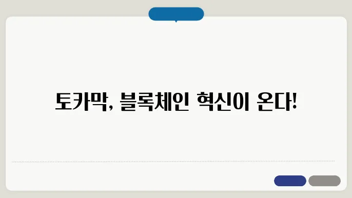 토카막네트워크(TOKAMAK) 호재와 소쇀 및 전망