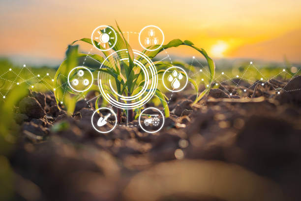 일상 루틴에서의 스마트팜