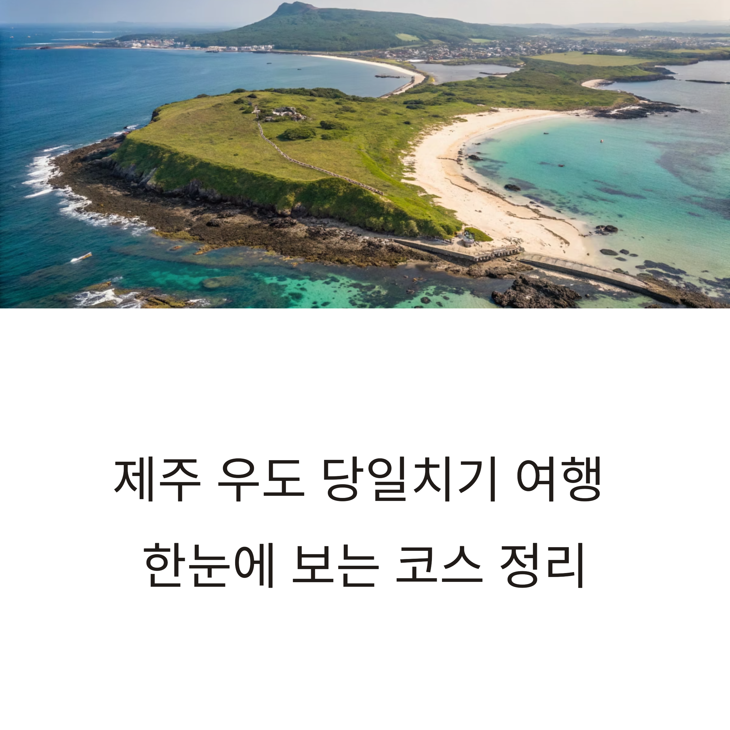 제주 우도 당일치기 여행