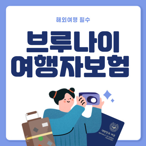 브루나이 여행자보험 추천 2가지
