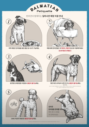 수원 스타필드 맛집 수원스타필드 스타필드 수원 별다방 도서관