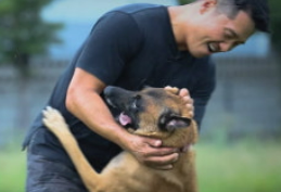 개와 늑대의 시간