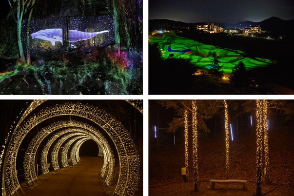 오크밸리 3D 라이팅쇼 소나타오브라이트는 밤이 되면 환상적인 세계로 변합니다.