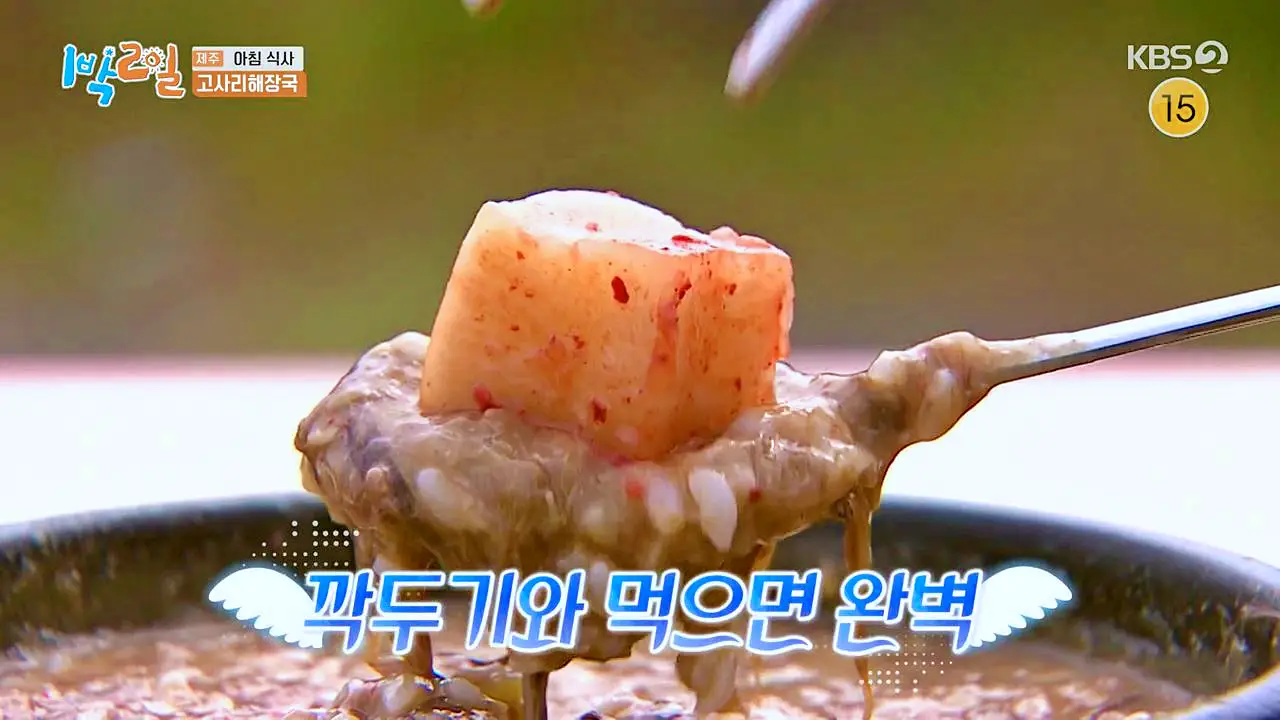 1박2일 제주하루살기 아침식사 향토음식 고사리육개장 고사리 해장국 맛있는 식당 제주 서귀포 맛집 추천 소개