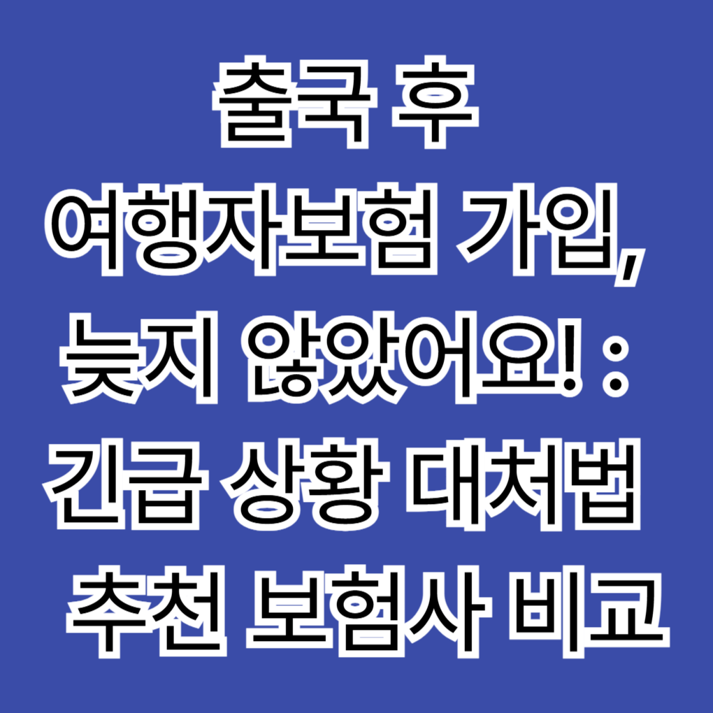 출국 후 여행자보험 가입, 늦지 않았어요! : 긴급 상황 대처법 및 추천 보험사 비교