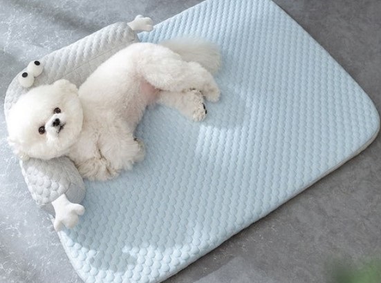 강아지 여름나기용품 쿨방석