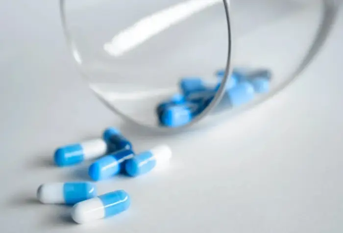 B형독감 예방접종