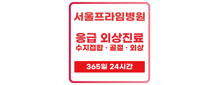 서울 광진구 정형외과