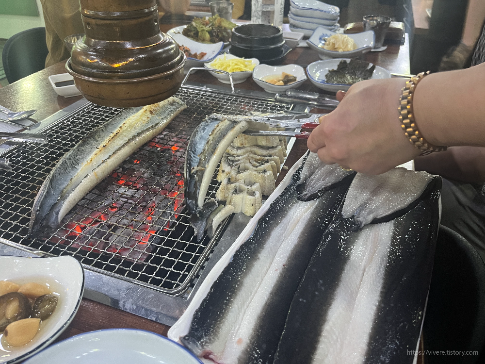 장어세상