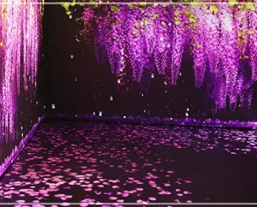 대전-신세계-아쿠아리움-입장료-할인-운영-시간
