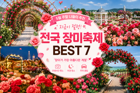 5월 장미축제 추천, 지금 가장 아름다운 전국 장미명소 BEST 7