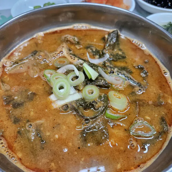 생생정보 우와한 식당 가물치오골계탕 음식점