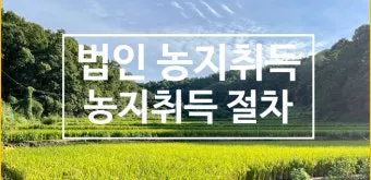 농지 취득 절차 자격증명 면적 제한 서류 신고 유의점_3