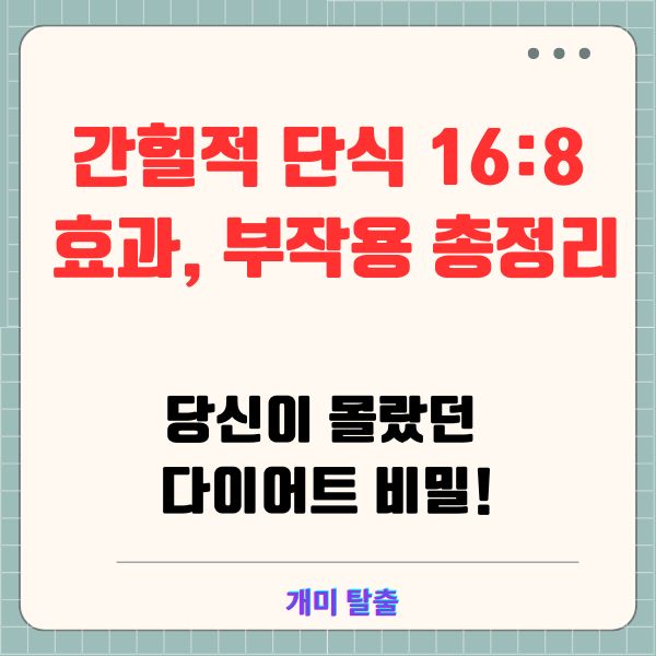 간헐적 단식 16:8 효과, 부작용 총정리 ❘ 당신이 몰랐던 다이어트 비밀!