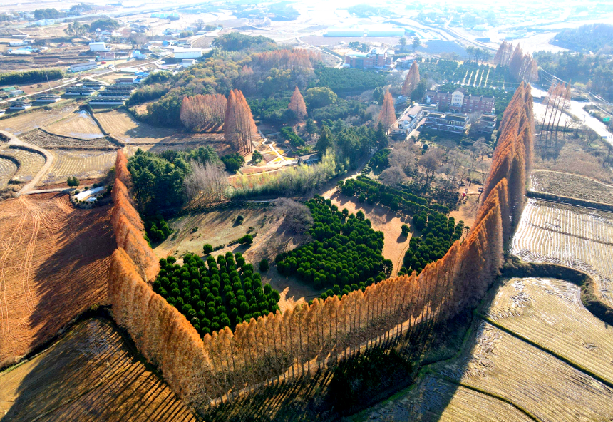 특색있고 아름다운 민간 정원 30선 추천 여행 - 28. 익산 아가페 정원