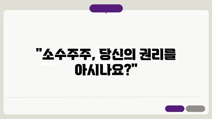 소수주주 보호를 위한 장치