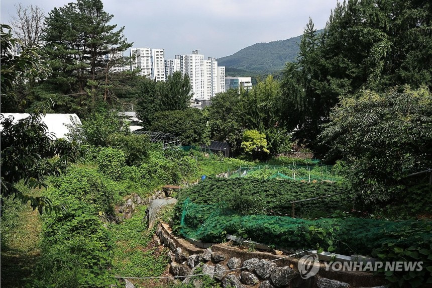 그린벨트 해제 발표