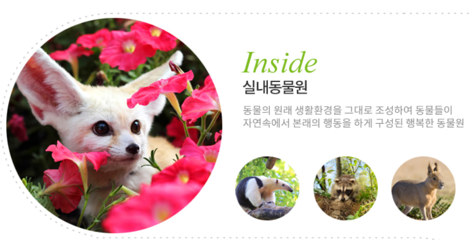 전국 벚꽃 봄꽃 축제 추천 Best 5