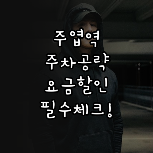 주엽역 지하철 환승 주차 정보 공영주..