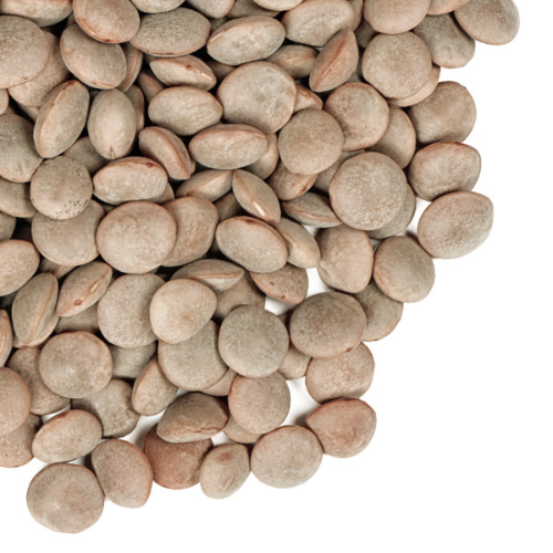 마그네슘 부족현상