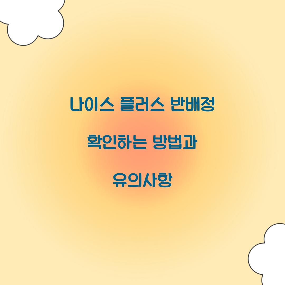 나이스 플러스 반배정