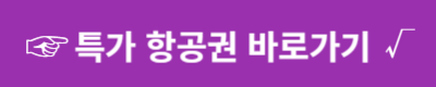 특가 항공권/가격비교 검색 사이트에도 없는 항공권