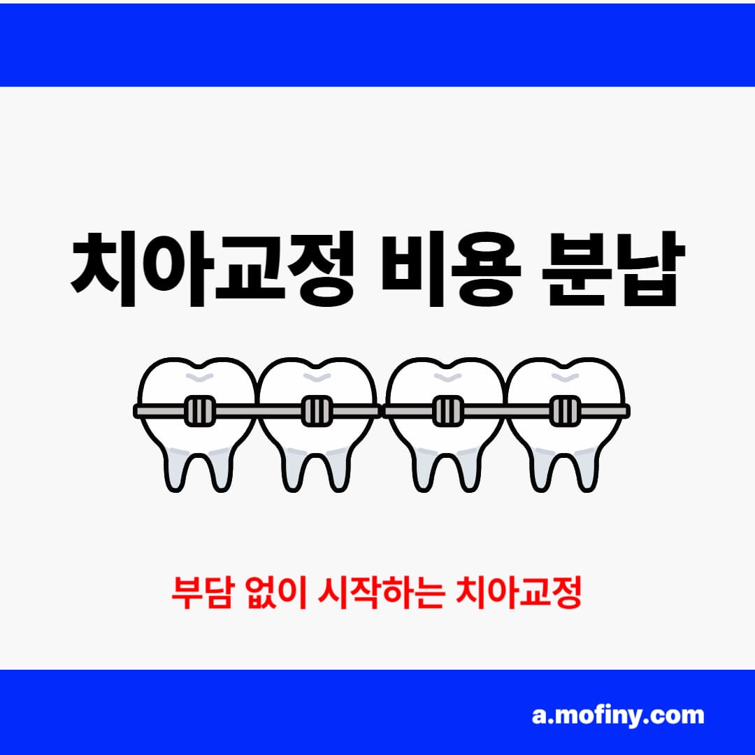 치아교정 비용 분납 2025년