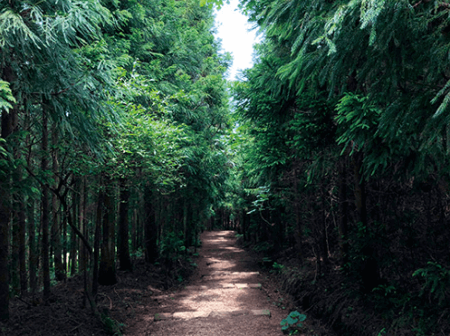 거문오름 탐방 예약 방법 (제주도 명소)