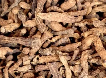 둥글레차 효과 건강에 좋은 차 효능 정리_4