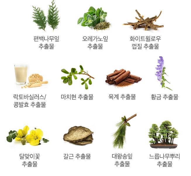 메디큐브 제로모공패드 2.0 효과 및 가격 (유재석 패드)