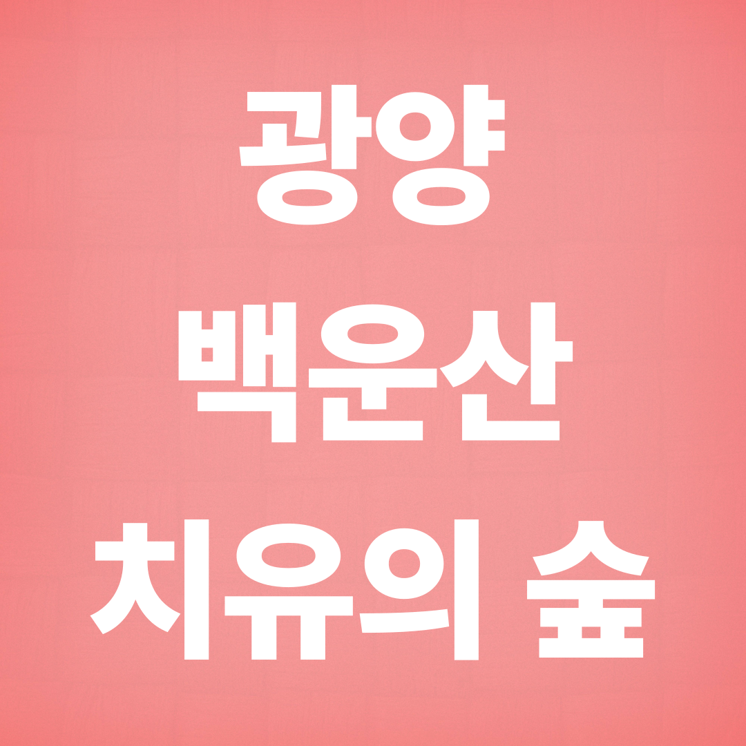 광양 백운산 치유의 숲, 겨울에만 볼 수 있는 동백꽃 설경 힐링여행