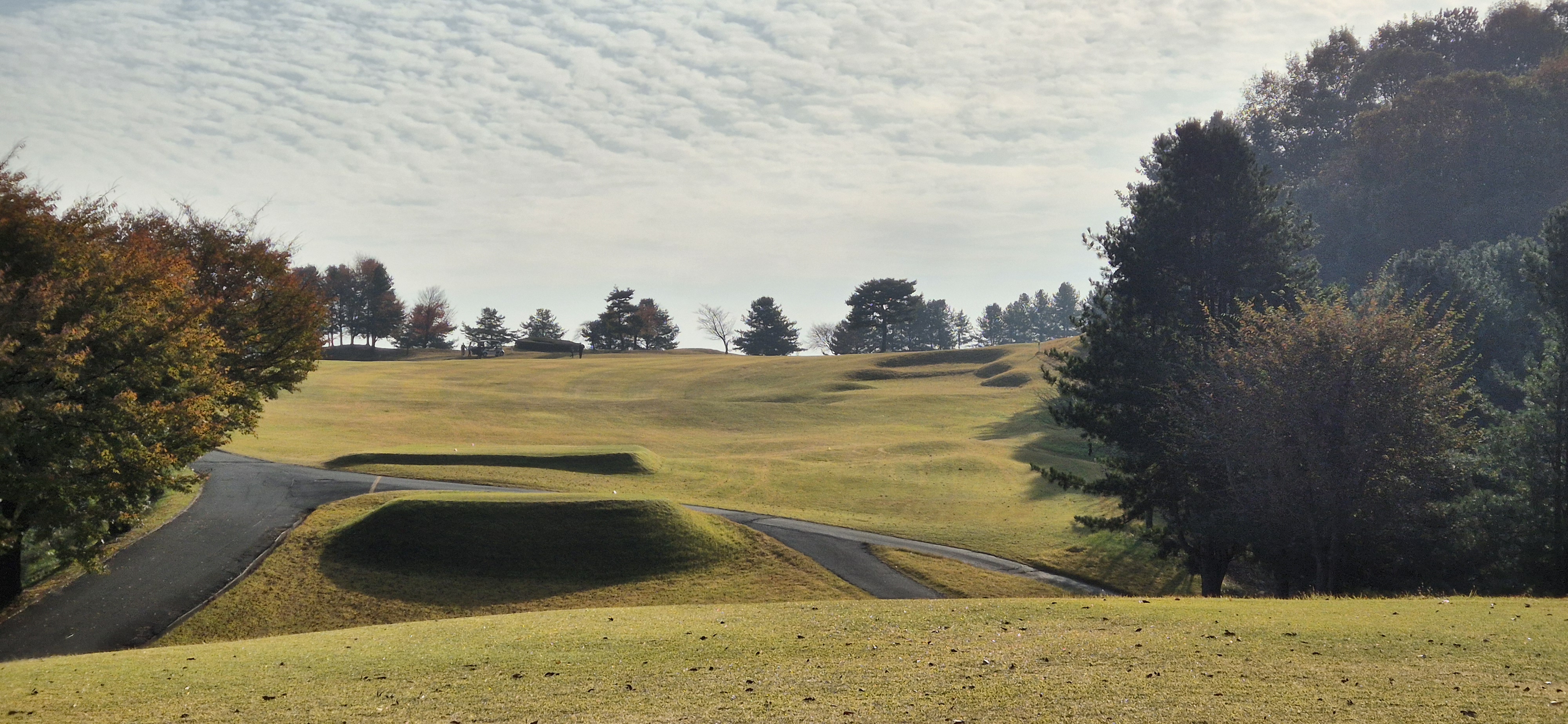 시그너스cc 라미코스 사진 및 공략 정보