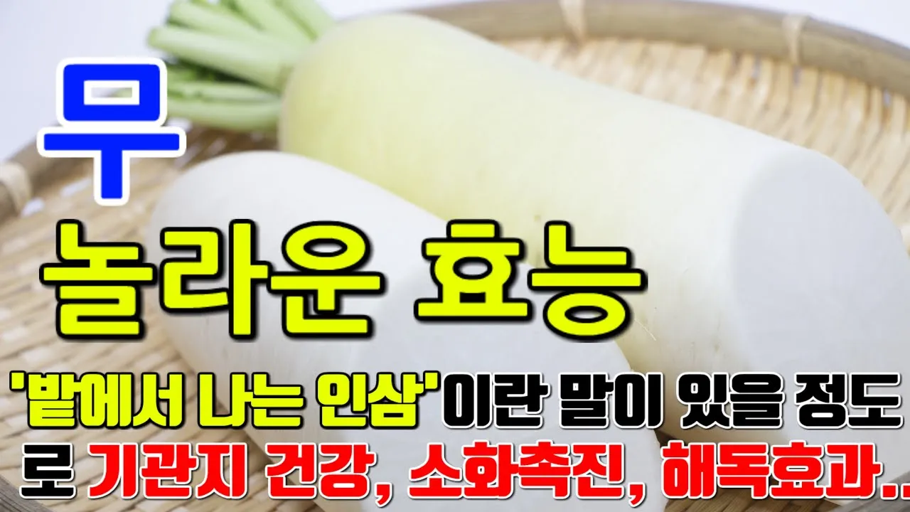 무우 효능 부작용 섭취 방법_1