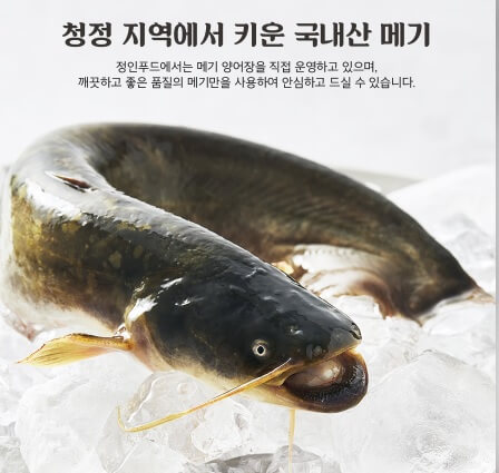 오늘N 2505회 이달의 수산물 6월 제철 전북 김제 메기 밀키트 주문방법 및 메기의 효능