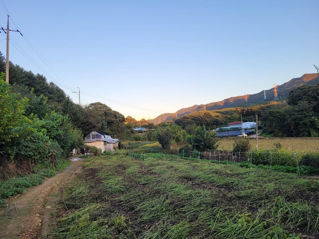 전원의 농막과 들녁