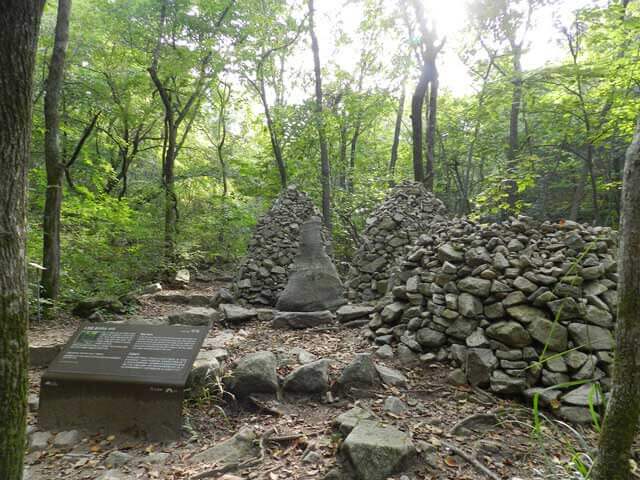 숲나들e 예약 방법부터 추천 캠핑장까지! 2025년 완전정리