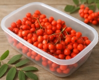 마가목 열매 효능