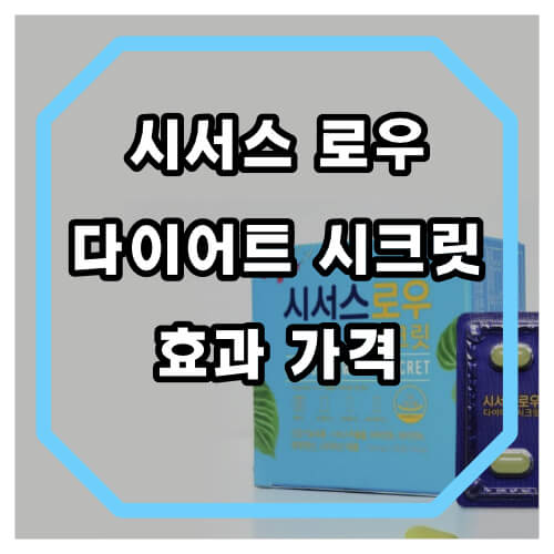 시서스 로우 다이어트 시크릿 효과와 로우핏 차이점