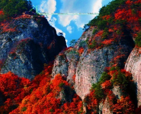 가을에 꼭 가야하는 단풍이 유명한곳 BEST 5곳