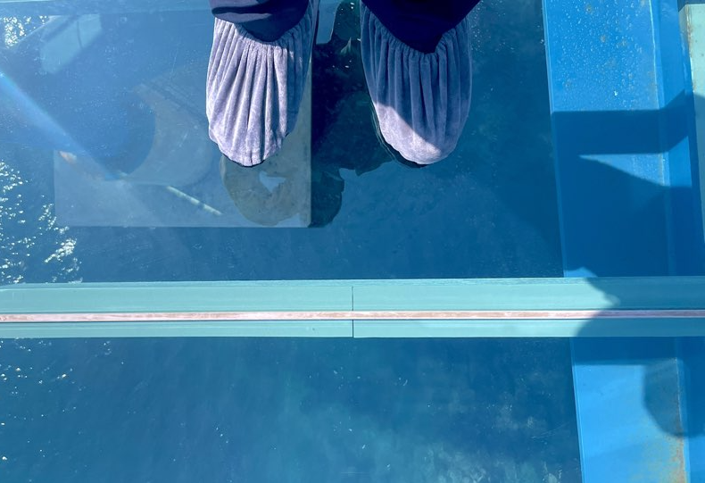 해변열차